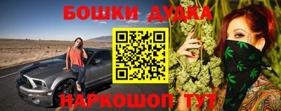 молекула духа Пугачёв